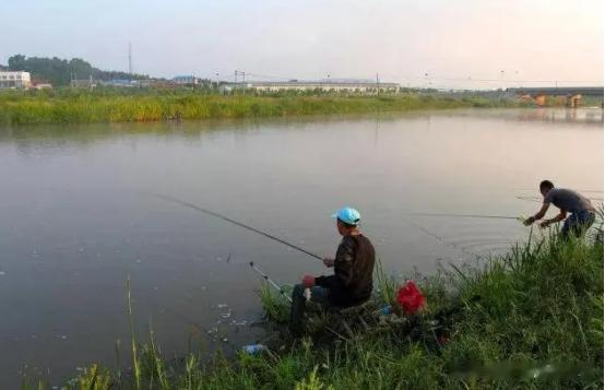 大暑|大暑过后该如何野钓?4个要点决定成败,温度再高也能连竿钓大鱼