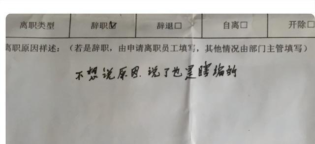 00后|00后大学生不光是来整顿职场，还敢收拾老板，感觉要把老板开了？
