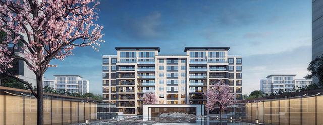 南陵|涨1400元/平!颐和源璟204平大户型已开售,总价约610万!