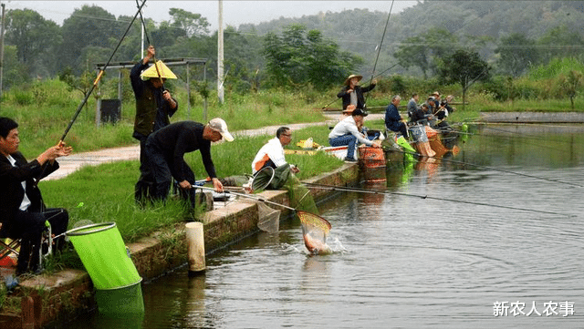 魔兽世界|为老不尊?大爷组团聚集到河边一待就是1整天,周围的群众怒了