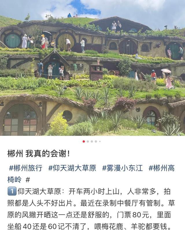 中餐厅第六季|《中餐厅》第六季带火拍摄地，门票80元却遭吐槽：绿化还没小区好