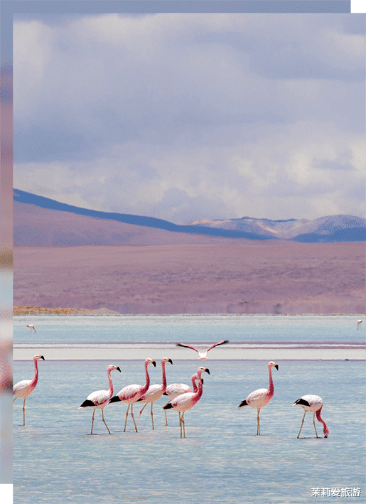 欧洲旅游|玻利维亚,走进七彩秘境