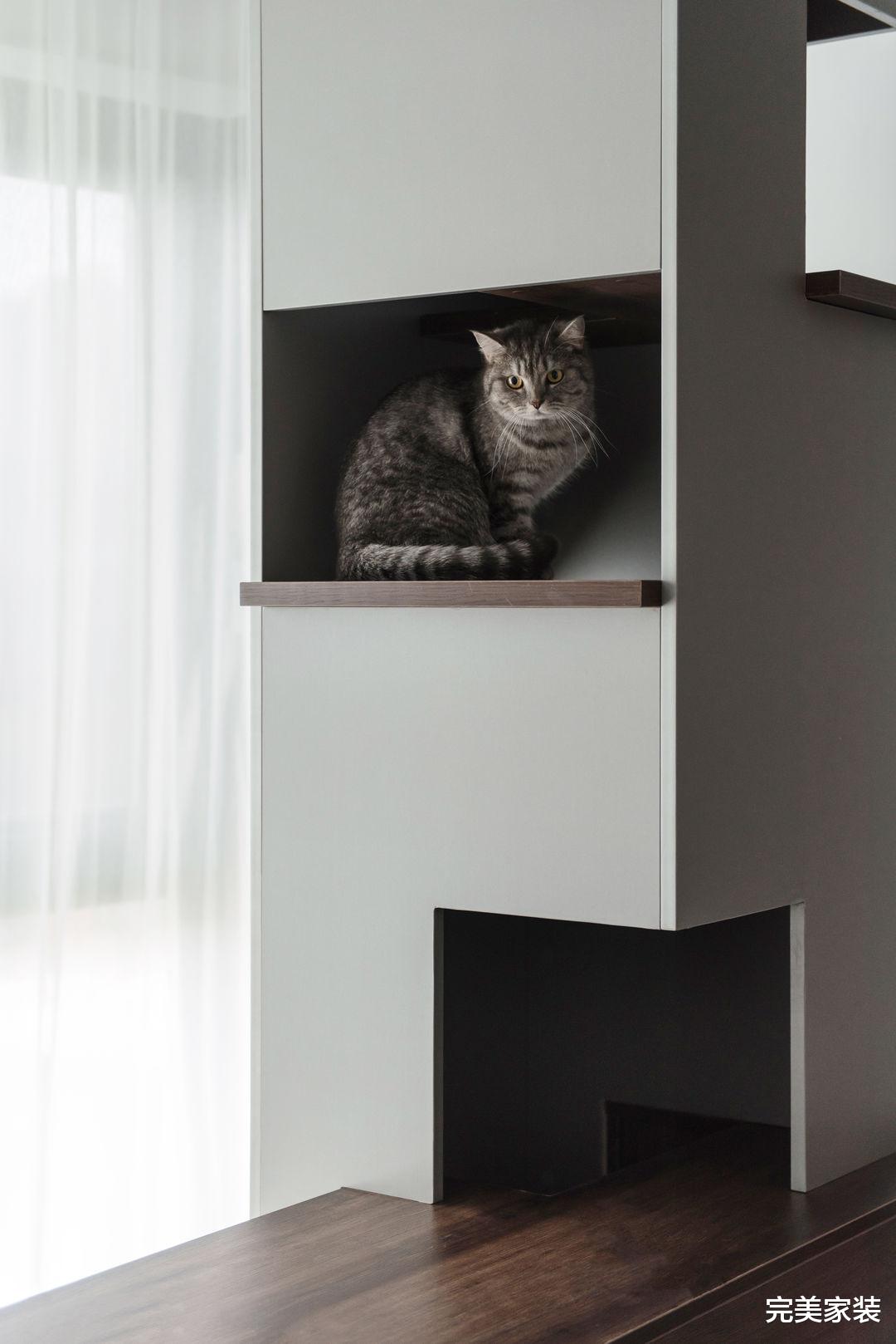 75平方米现代两居室,还有?猫咪?的五层别墅,打造房中房