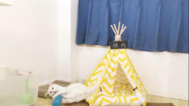 90后夫妻改造55平复式住宅,装修日式小清新风格