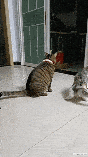 原神|“这啥美颜相机,把我的鼻孔当痘痘的给消除了”它可能太多余了吧!!