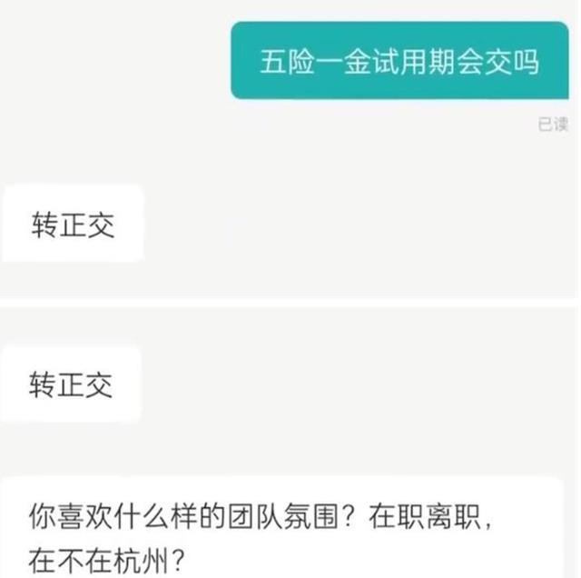 hr|“应届生啥也不是”，只因求职者的一张简历，就让HR有了底气？
