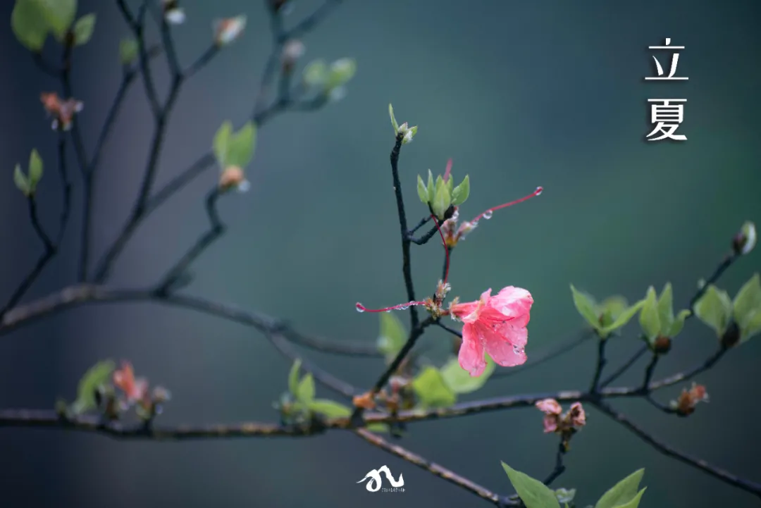收藏!九华山版二十四节气壁纸,够浪漫~