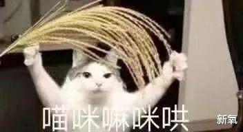 鞠姐的灰色挑染新造型，姐妹们看了吗？保姆级妆容攻略来袭！