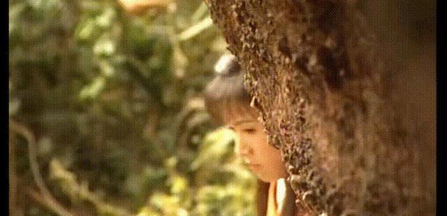 叶璇|镜头前大众的白月光，生活中却一地鸡毛，是时候去重新认识他们了