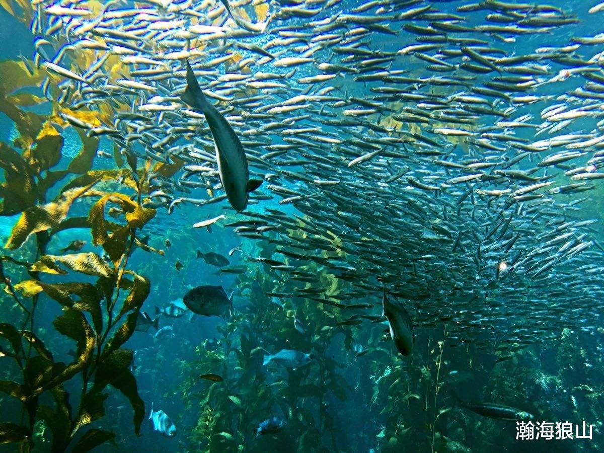 军舰|水兵不当值时，是否可以在军舰上随意钓鱼？