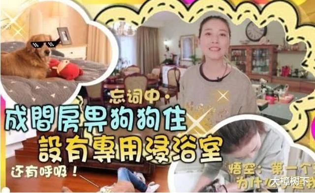 周海媚|周海媚:不需要男人