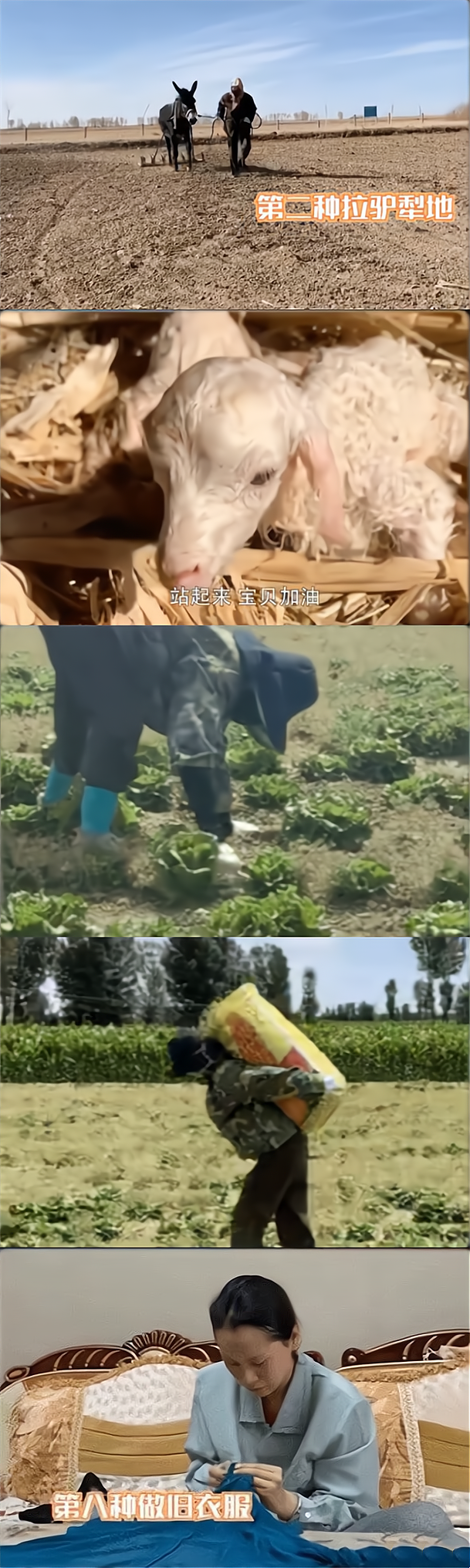 海清|3年过去,海清会为当年的“冲动”后悔吗?