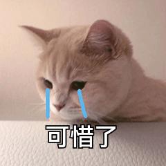 MIUI|腾讯QQ官方宣布：12月10日起，正式终止这一项服务