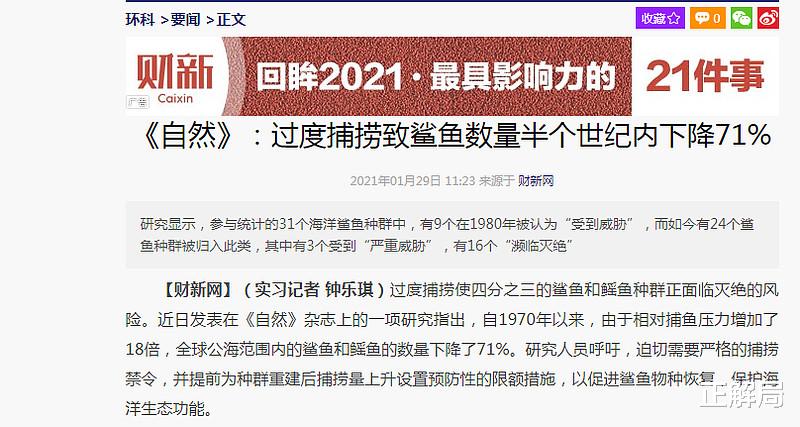 姚明|姚明被骗13年：呼吁中国人不吃鱼翅，鲨鱼为何更濒危？