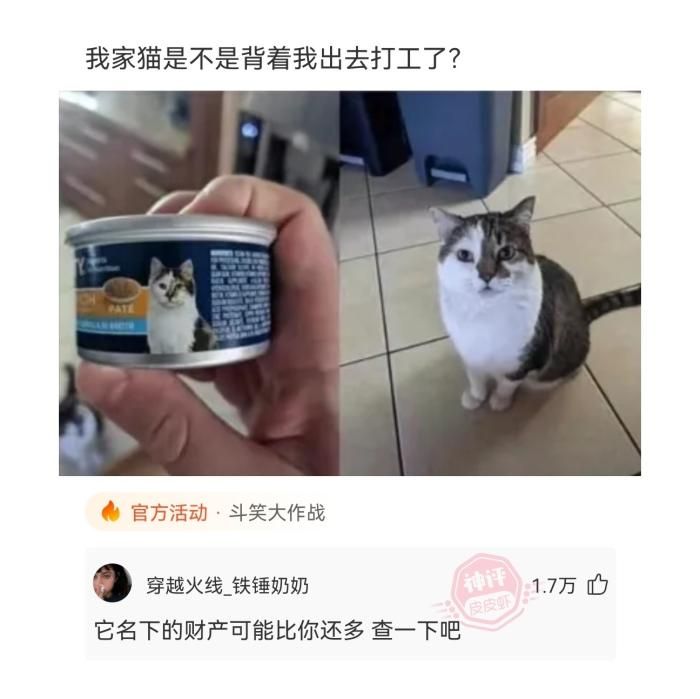 跳槽|轻松一刻:简历空白期怎么答