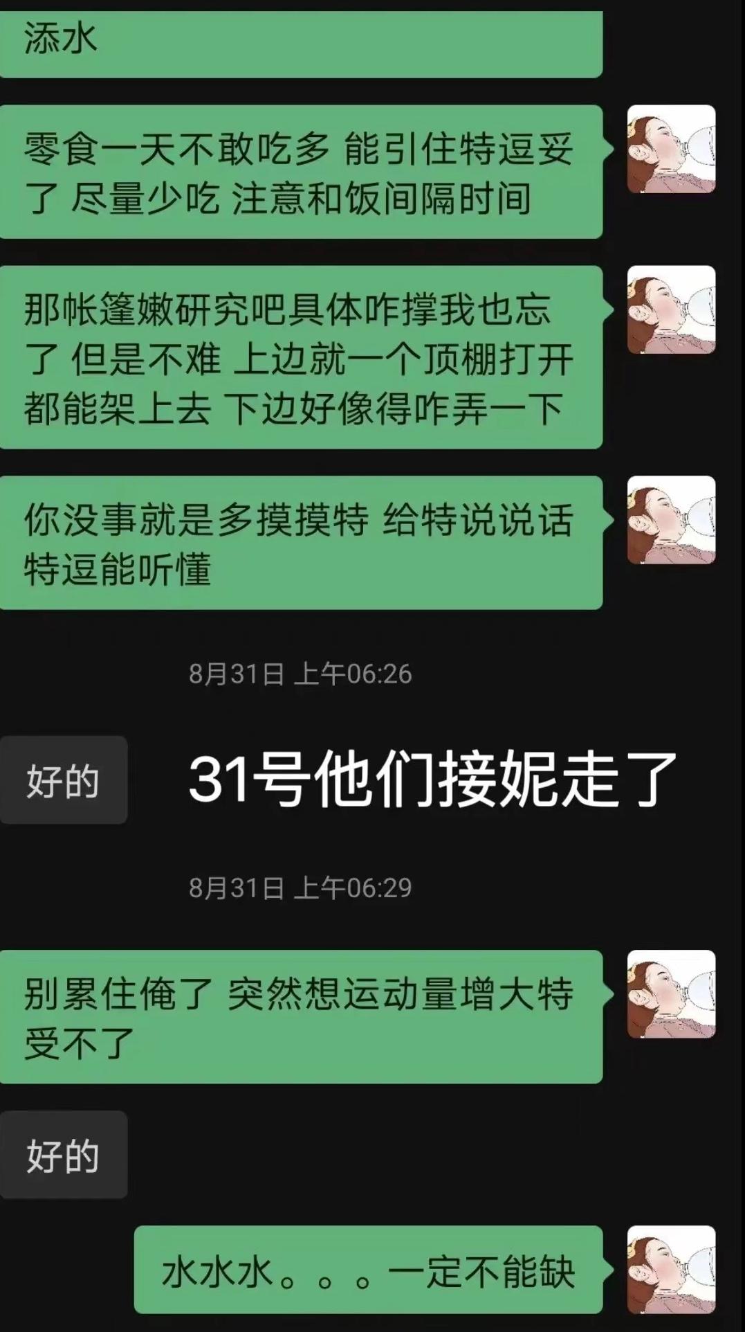 宠物医院|网友称爱犬在剧组拍摄离奇死亡，满嘴泥沙跟血，剧方回应被批凉薄