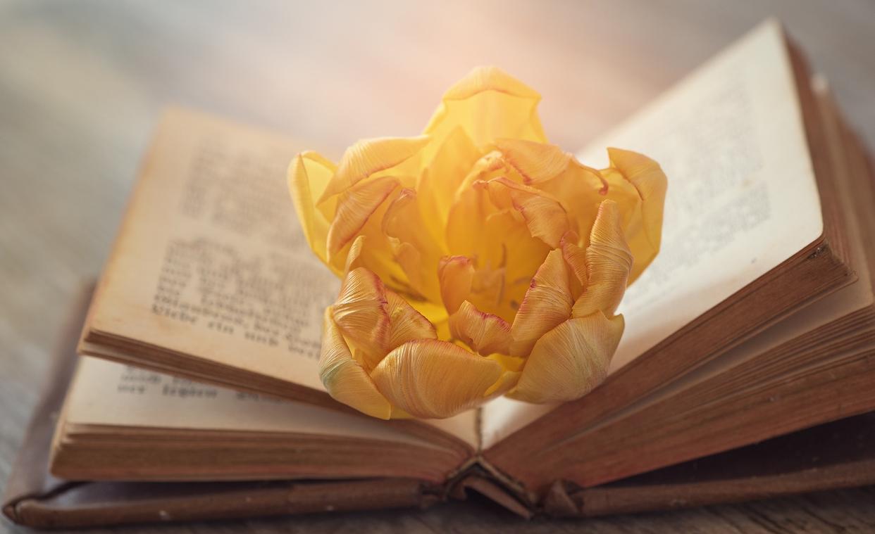 立足|职场中，越聪明的人，越会管住自己的嘴