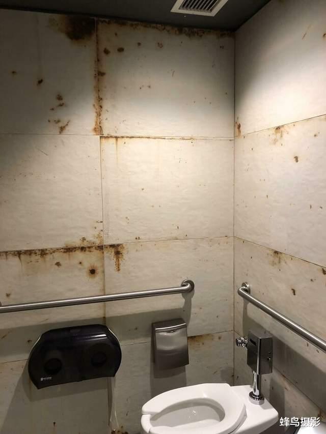 40个国外的奇葩设计，公厕小便池带盖，马桶对着坐，电梯要自己走