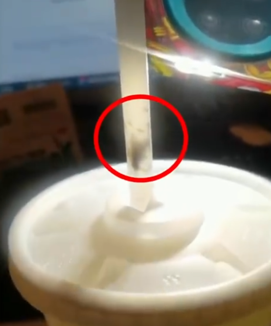 男子点汉堡王可乐喝出苍蝇,咬破苍蝇后还冒出很多蛆