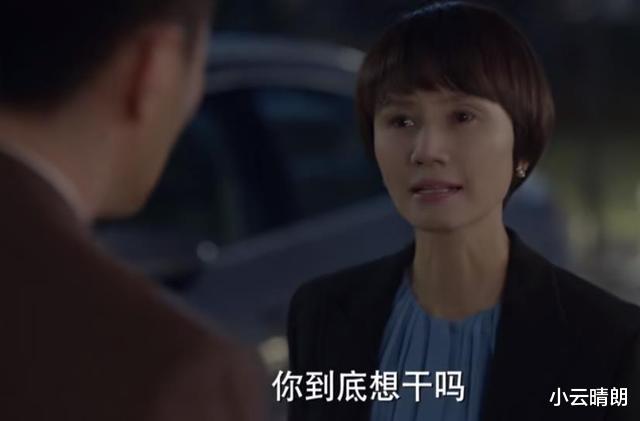 李小冉|《玫瑰之战》：取保的宋嘉辰意欲何为，答案藏在这两个细节里