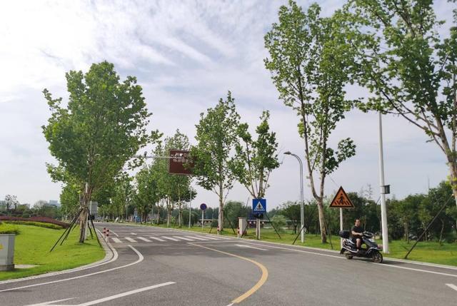 饵料|2.5亿元修建的长沙公园，树林茂密毗邻湘江，可以垂钓却游客稀少