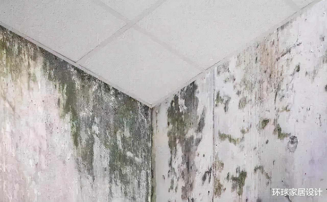 上海女子花了30万,请游击队装修,完工后,家里处处都是坑!