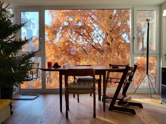 曾风靡一时的“落地窗”,如今为何遭冷遇?原因一目了然