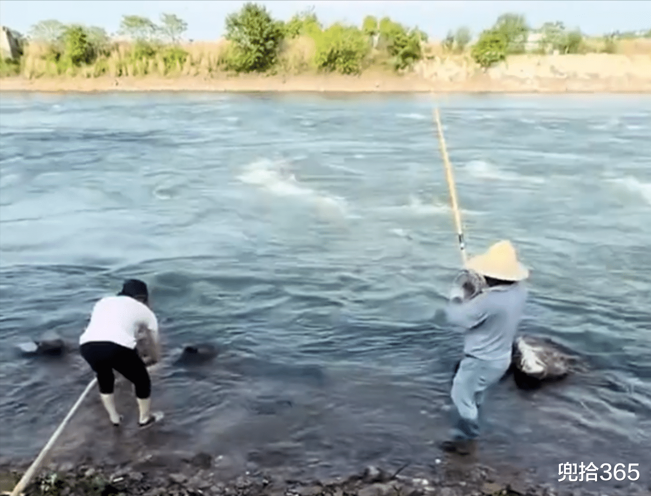 |男子户外野钓实现大鱼梦，当看清鱼身上的鱼钩后，众人却纷纷怒了