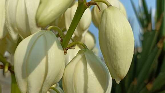 跑分|天玑1200+120Hz+OLED电竞屏+6400万三摄！只售1499彻底爱了