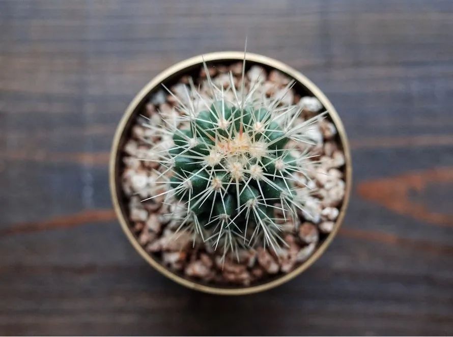 |家中（办公室）这些东西别乱放，小心富翁变“负”翁