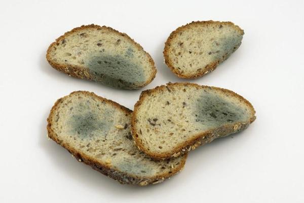 肝脏|四种食物已列入“伤肝”黑名单,吃一次肝伤七天,很多人却还在吃