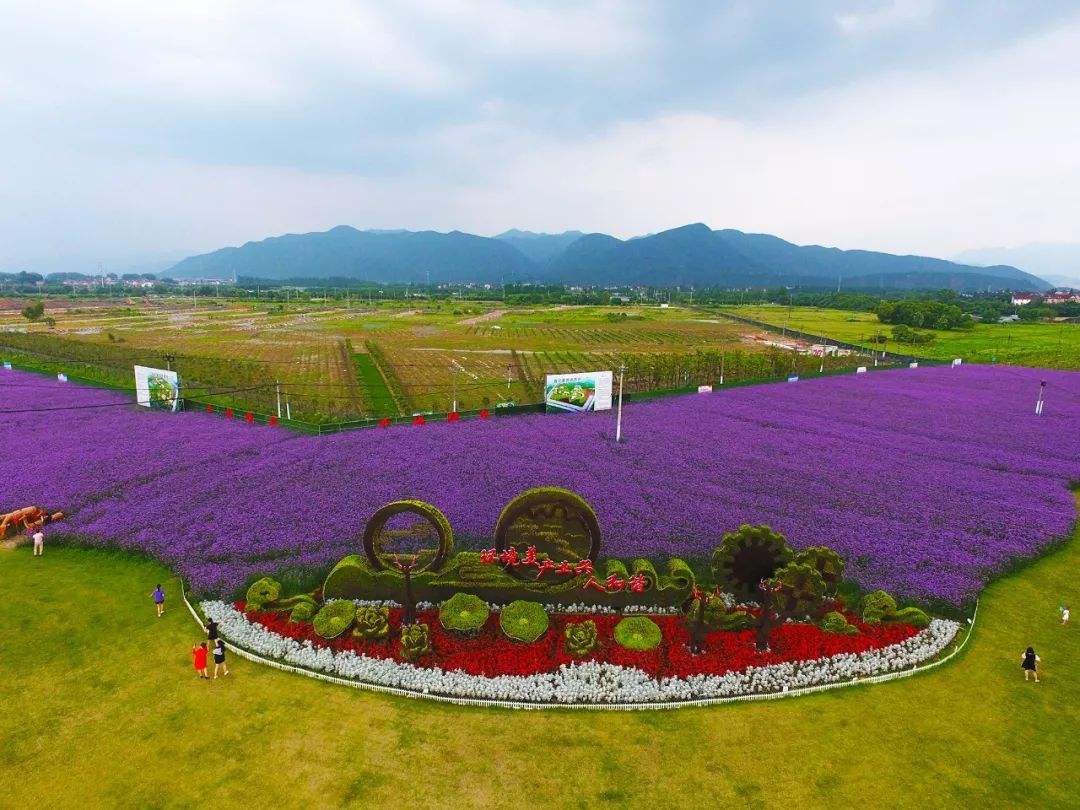 荷花|创意农业旅游的可持续发展战略