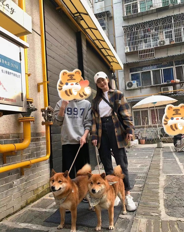 美丽|怀孕了？偶遇沈梦辰牵狗遛弯，小腹凸起身材圆润孕味足