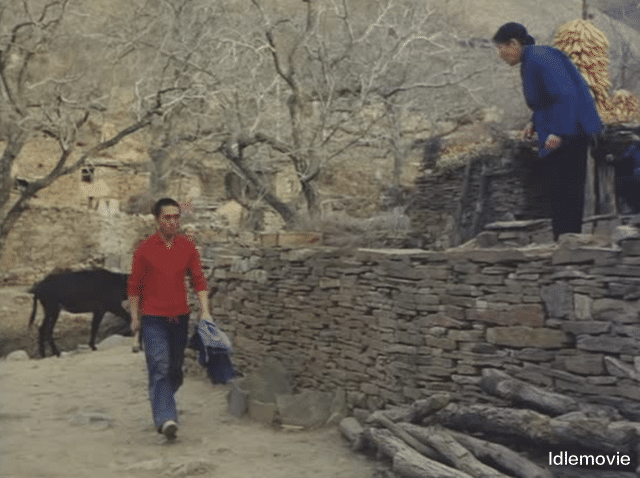 张艺谋|作为时代的一块“砖”，张艺谋还能适应现在的电影大环境吗？