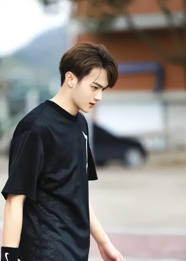 许凯|男明星微博粉丝数TOP10,第一名实至名归,你最喜欢哪位哥哥?