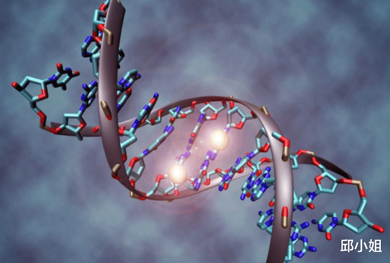 DNA:让世界逃离暗数据危机的避难所