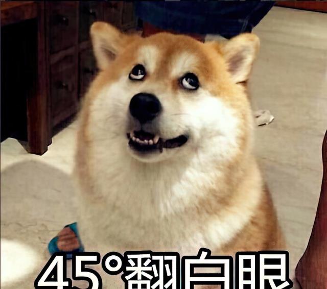 |领导在下班前开会，员工：“你开车轻松！我们追末班车脚底冒烟”