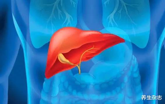 全球近半肝癌在我国，卫生组织：4种食物是“帮凶”，铁打的肝也难扛