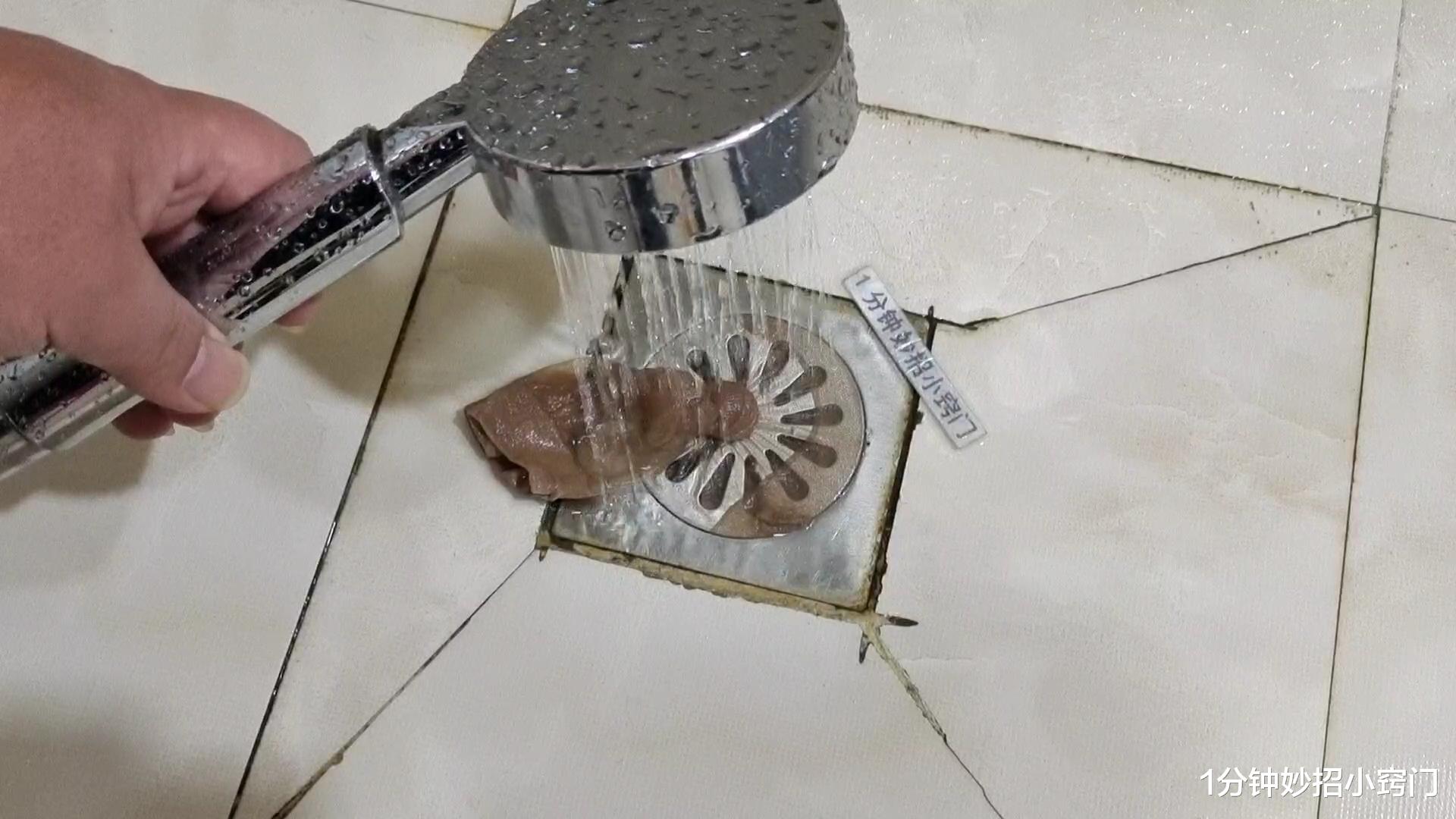 卫生间小黑虫又出来了,只需简单一招,家里再也不会有小飞虫