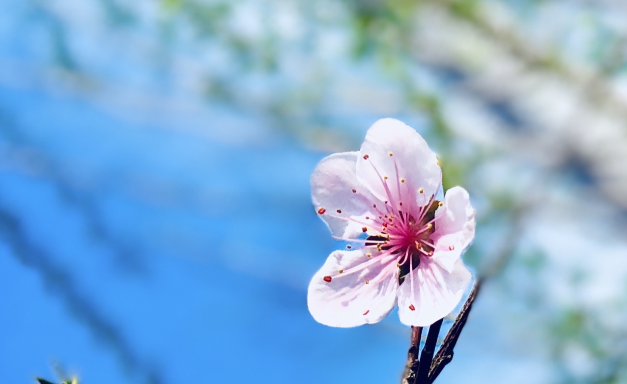 穿衣搭配|培养一批硕士层次中小学教师?这是要扩招的节奏,会带来两个结果