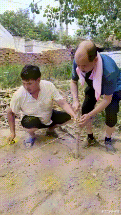 发型 “据说这是大家放假在家的统一发型，今天你洗头了吗？