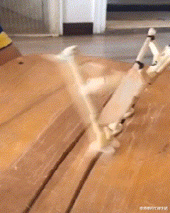 张庭|张庭林瑞阳现身机场一路小跑,落魄到像“逃难”,儿子早已拉黑其联系方式