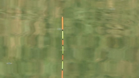 饵料|野钓调漂那么重要吗?