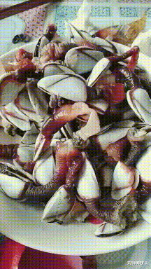 阳台|“老家的房子完工了,可总觉得哪里不对劲,”这阳台是