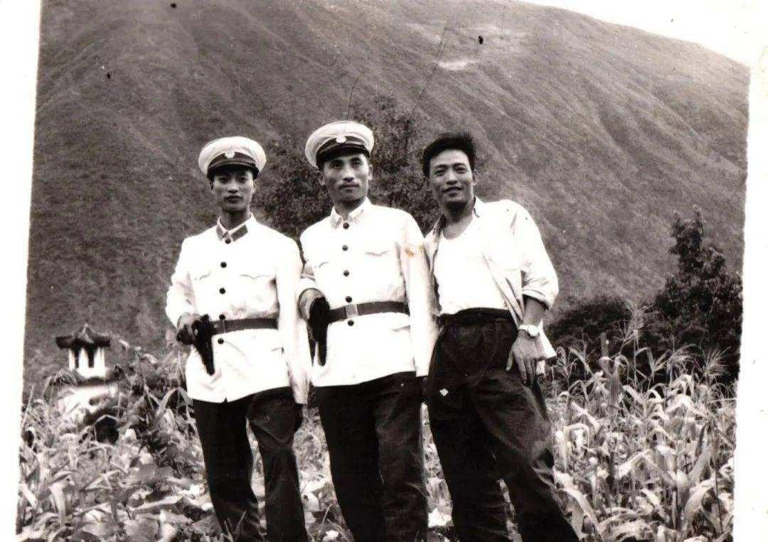 心中有怨恨竟拿耕牛撒气,1975年成都天回公社耕牛死亡案侦破始末