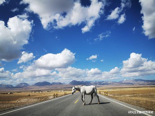应届毕业生|应届毕业生应该早知道的15条职场经验，值得收藏！
