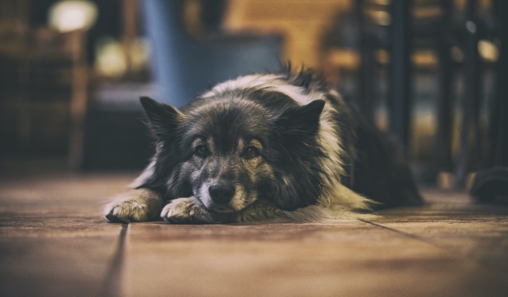 香港|猫巫先生十二星座周运2023年2.6-2.12：走出迎合，做自己