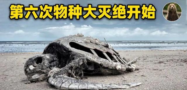 科学家:10000年前,第六次大灭绝有可能已经开始,人类怎么办?