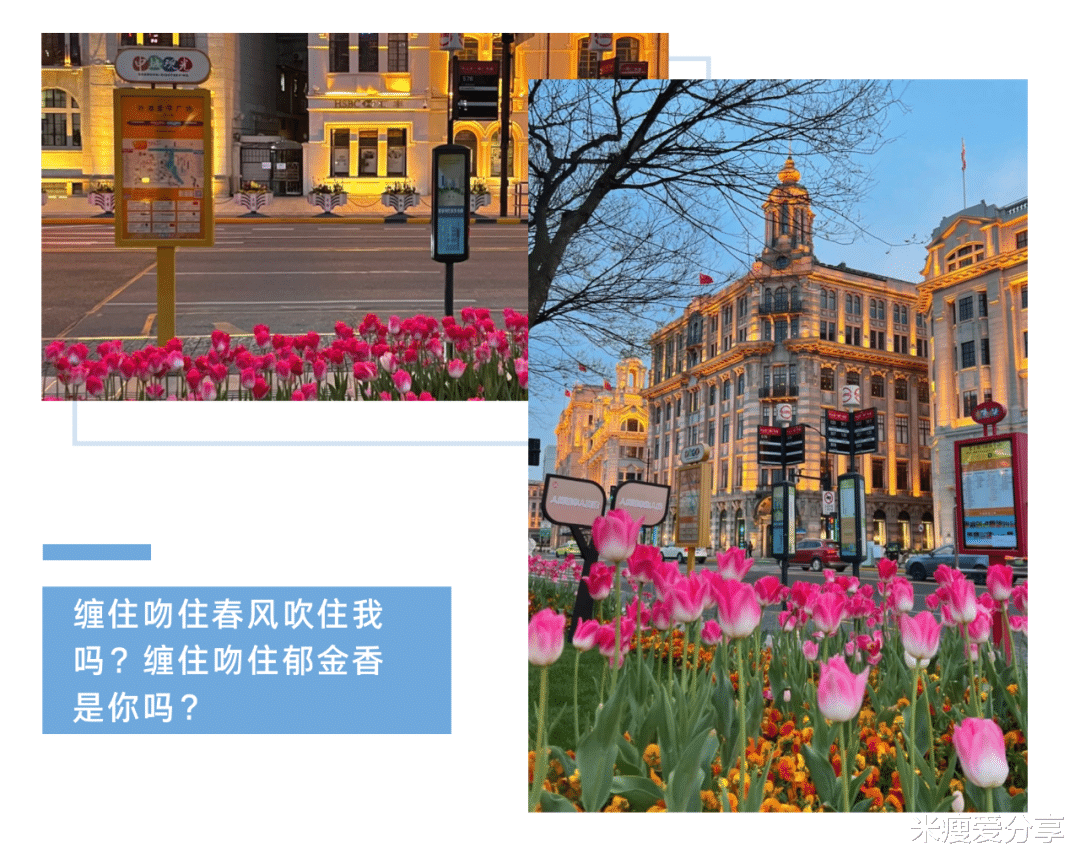 美甲 夏日心动美甲系列?，花朵手绘清新百搭，氛围感十足！