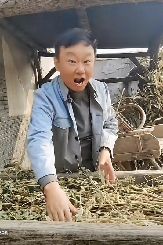 王宝强|农村出身的9位演员：王宝强熟练割麦子，黑子种菜有模有样